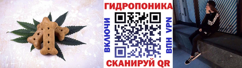 мега tor  купить закладку  Мантурово  Cannafood марихуана 