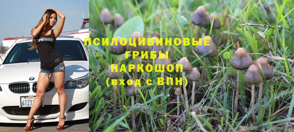 прущая мука Арсеньев