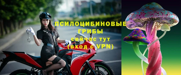 a pvp Аркадак
