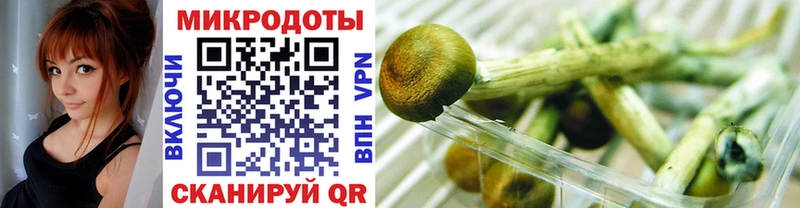 Псилоцибиновые грибы Magic Shrooms  Мантурово 